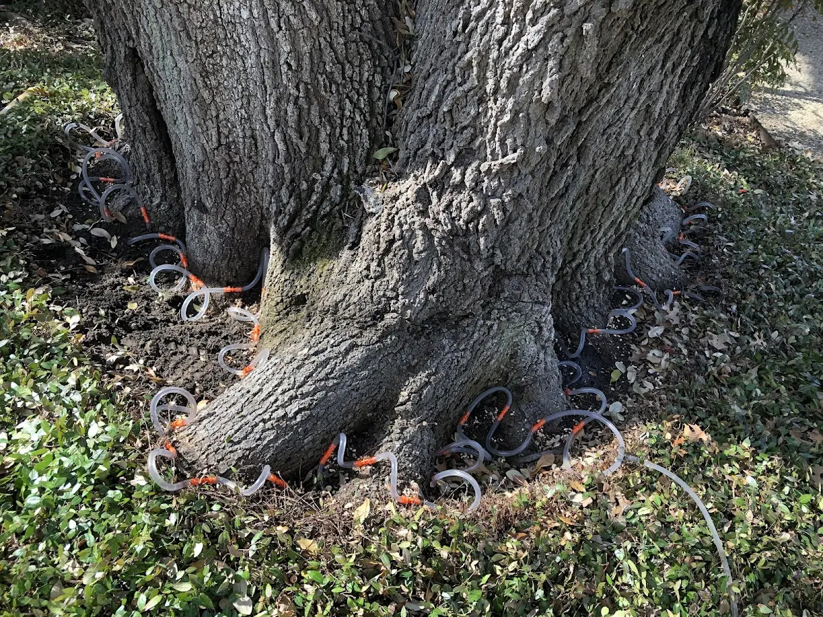 Detailed Shrub and Hedge Trimming job site in Coleharbor